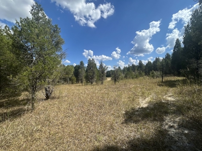 Crown Ridge Residential Development Land For Sale in Selma, AL - image 20