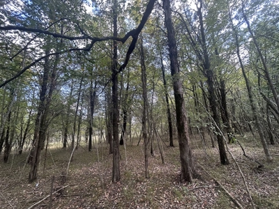 Crown Ridge Residential Development Land For Sale in Selma, AL - image 22