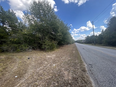 Crown Ridge Residential Development Land For Sale in Selma, AL - image 14