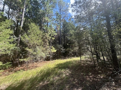 Crown Ridge Residential Development Land For Sale in Selma, AL - image 6