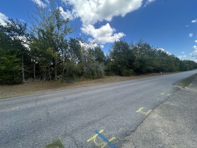 Crown Ridge Residential Development Land For Sale in Selma, AL - image 12