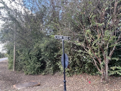 Crown Ridge Residential Development Land For Sale in Selma, AL - image 18