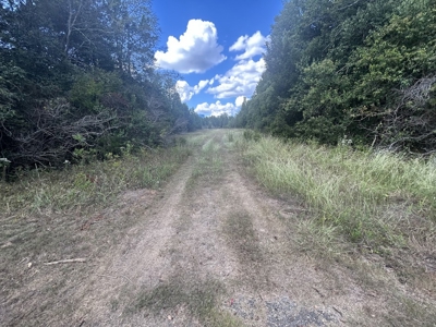 Crown Ridge Residential Development Land For Sale in Selma, AL - image 2