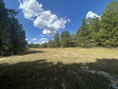 Crown Ridge Residential Development Land For Sale in Selma, AL - image 11
