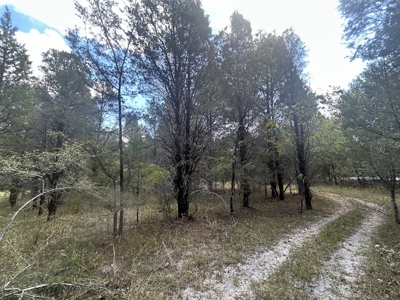 Crown Ridge Residential Development Land For Sale in Selma, AL - image 19