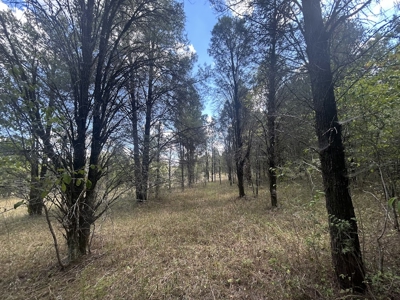 Crown Ridge Residential Development Land For Sale in Selma, AL - image 21