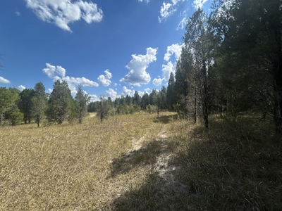 Crown Ridge Residential Development Land For Sale in Selma, AL - image 3