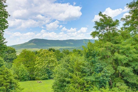 Private Home on 12.27 Acres in Parthenon, Newton County For Sale - image 3