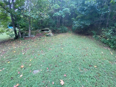 Private Home on 12.27 Acres in Parthenon, Newton County For Sale - image 47