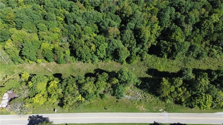 Land For Sale Newton County, Pelsor, Arkansas - image 3