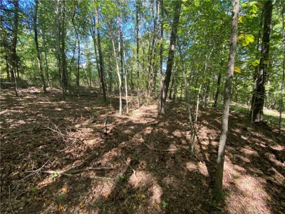 Land For Sale Newton County, Pelsor, Arkansas - image 9