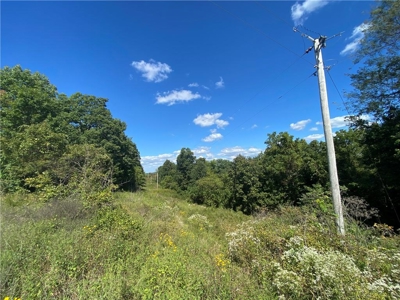 Land For Sale Newton County, Pelsor, Arkansas - image 7