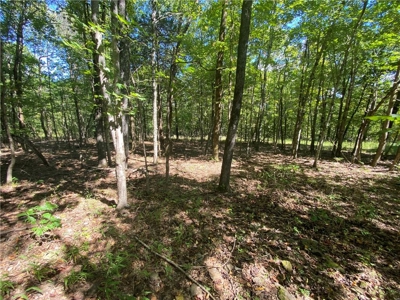 Land For Sale Newton County, Pelsor, Arkansas - image 8