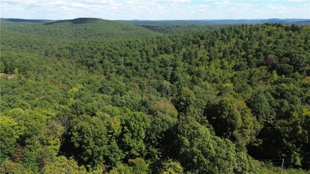 Land For Sale Newton County, Pelsor, Arkansas - image 2