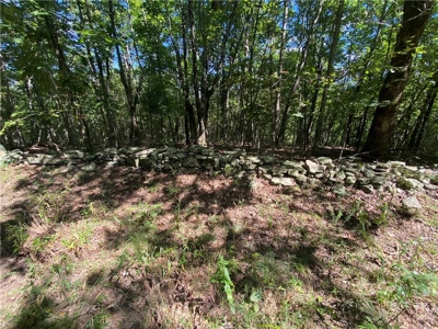 Land For Sale Newton County, Pelsor, Arkansas - image 10