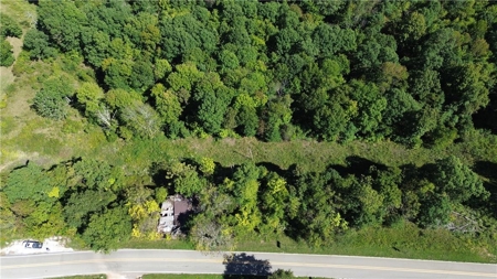 Land For Sale Newton County, Pelsor, Arkansas - image 4