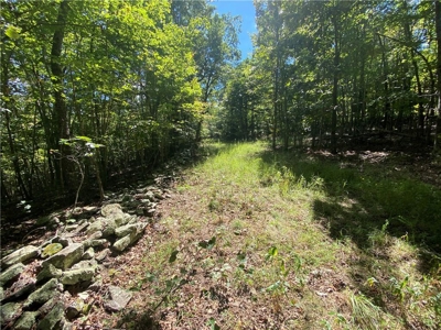 Land For Sale Newton County, Pelsor, Arkansas - image 1