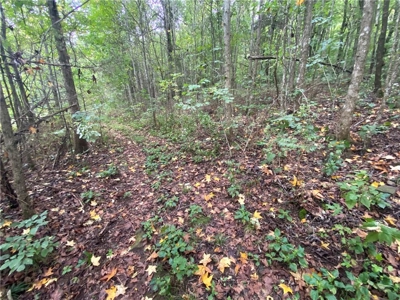 Buffalo National River Wilderness Home/Nightly Rental For Sale - image 48