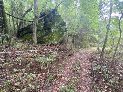 Buffalo National River Wilderness Home/Nightly Rental For Sale - image 50