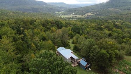 Buffalo National River Wilderness Home/Nightly Rental For Sale - image 2