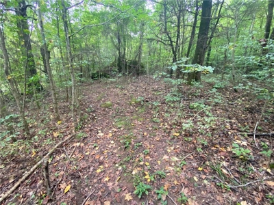 Buffalo National River Wilderness Home/Nightly Rental For Sale - image 49