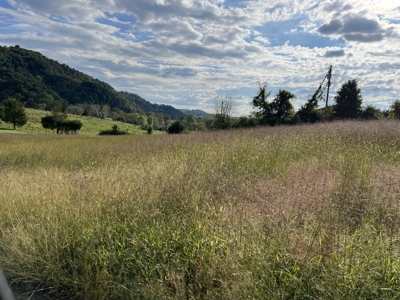 .70 Acre Lot in Clarksdale Subdivision, Hawkins County - image 5