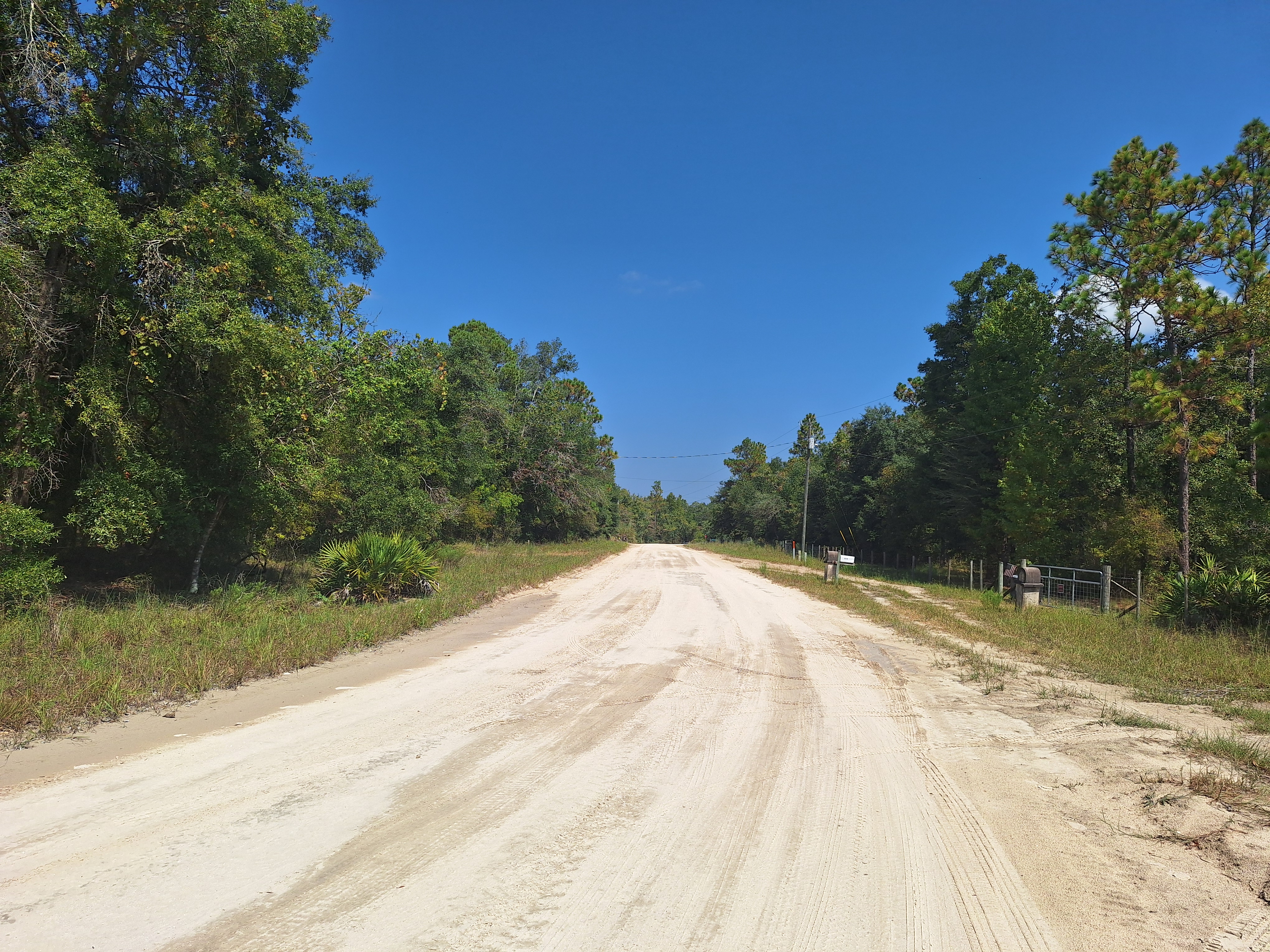 1 Acre Lot Near The Suwannee River, Bell Florida