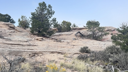 Experience the Best of Colorado Living on this Acreage Glade Park - image 25