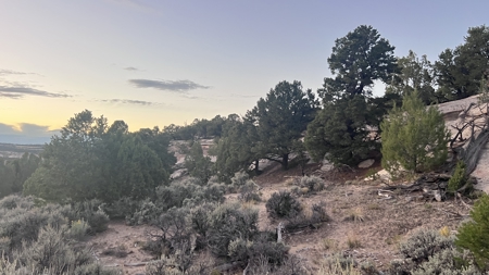 Experience the Best of Colorado Living on this Acreage Glade Park - image 28