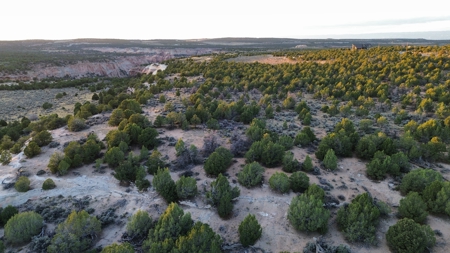 Experience the Best of Colorado Living on this Acreage Glade Park - image 7