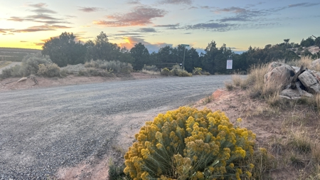 Experience the Best of Colorado Living on this Acreage Glade Park - image 23