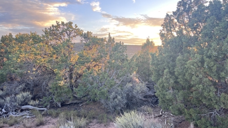Experience the Best of Colorado Living on this Acreage Glade Park - image 11