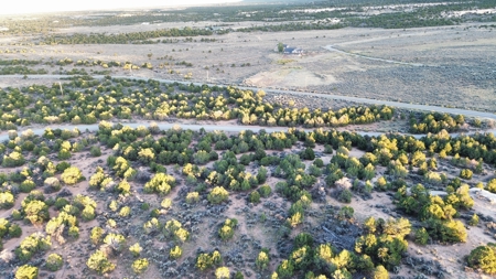 Experience the Best of Colorado Living on this Acreage Glade Park - image 6