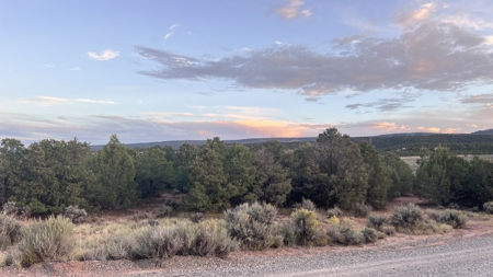 Experience the Best of Colorado Living on this Acreage Glade Park - image 20