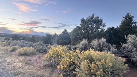 Experience the Best of Colorado Living on this Acreage Glade Park - image 24