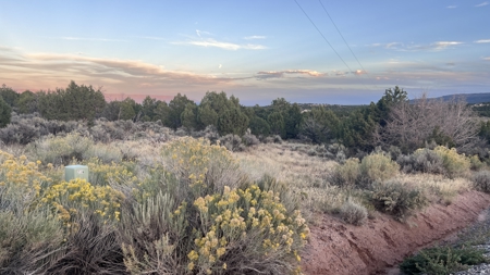 Experience the Best of Colorado Living on this Acreage Glade Park - image 19