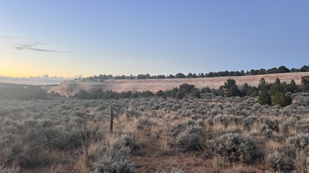 Experience the Best of Colorado Living on this Acreage Glade Park - image 31