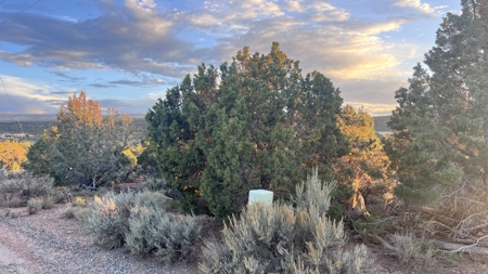 Experience the Best of Colorado Living on this Acreage Glade Park - image 10