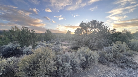 Experience the Best of Colorado Living on this Acreage Glade Park - image 14