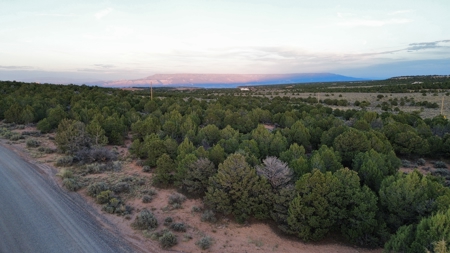 Experience the Best of Colorado Living on this Acreage Glade Park - image 8