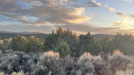 Experience the Best of Colorado Living on this Acreage Glade Park - image 13