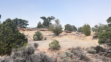 Experience the Best of Colorado Living on this Acreage Glade Park - image 27