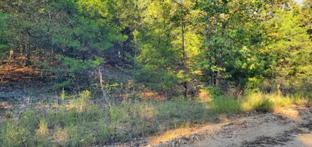 Investment opportunity hunting fishing building mature timber - image 6