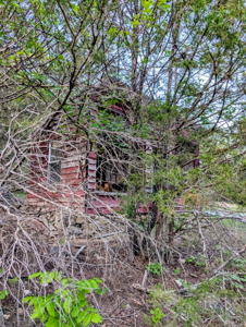 Investment opportunity hunting fishing building mature timber - image 11