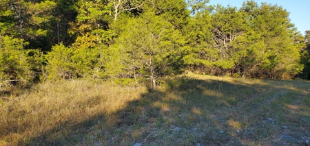 Investment opportunity hunting fishing building mature timber - image 13