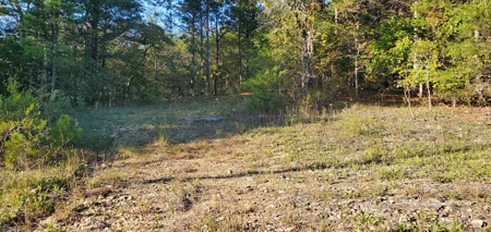 Investment opportunity hunting fishing building mature timber - image 3