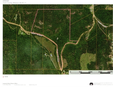 Investment opportunity hunting fishing building mature timber - image 1