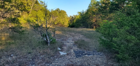 Investment opportunity hunting fishing building mature timber - image 10