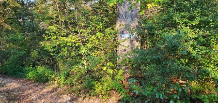 Investment opportunity hunting fishing building mature timber - image 9