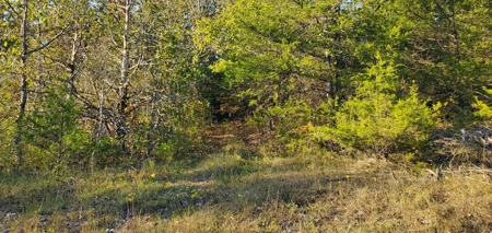 Investment opportunity hunting fishing building mature timber - image 12